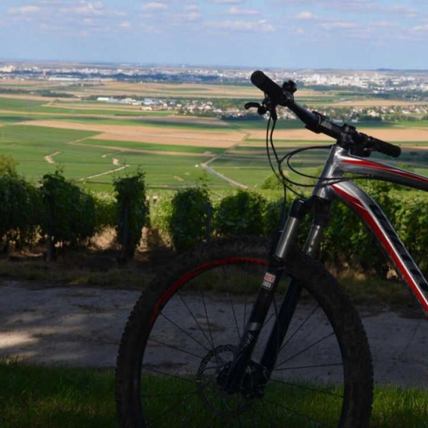 Gite Saint Martin Pargny-les-Reims Buitenkant foto